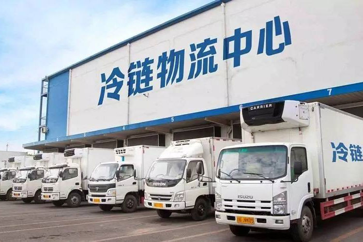 冷链中的资格认证和验证有什么区别？