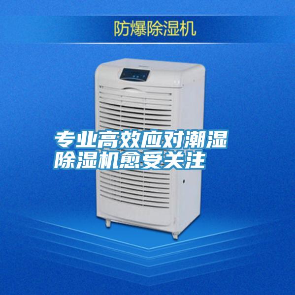 专业高效应对潮湿 泡芙短视频APP官方下载地址愈受关注