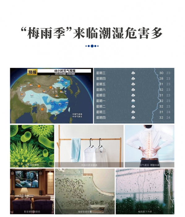 分析转轮泡芙短视频APP官方下载地址