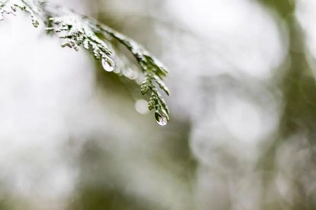 空气湿度大带来的危害有哪些，你知道吗？