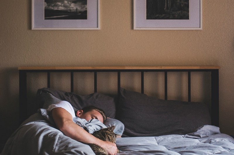 家里的泡芙短视频APP官方下载地址，知道如何设置湿度吗？