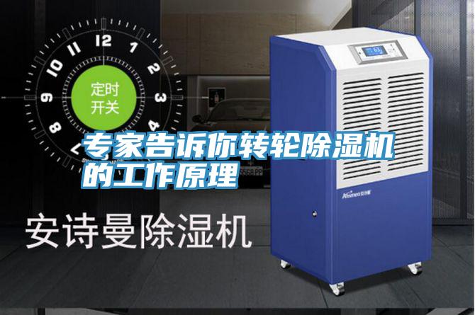 专家告诉你转轮泡芙短视频APP官方下载地址的工作原理