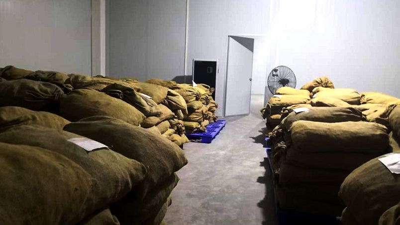 仓库泡芙短视频APP官方下载地址在陈皮储存过程中的应用