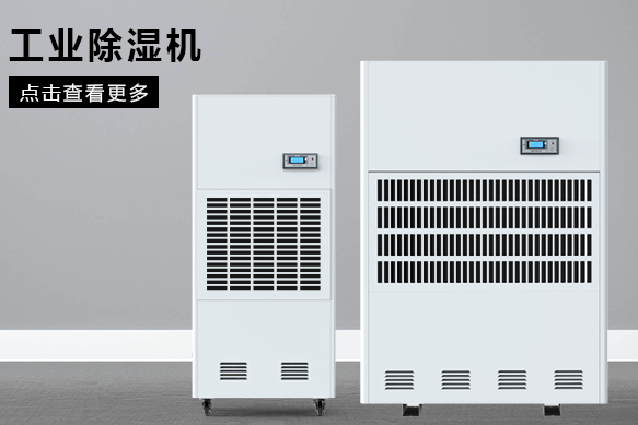 合肥泡芙短视频APP官方下载地址厂家哪个好？