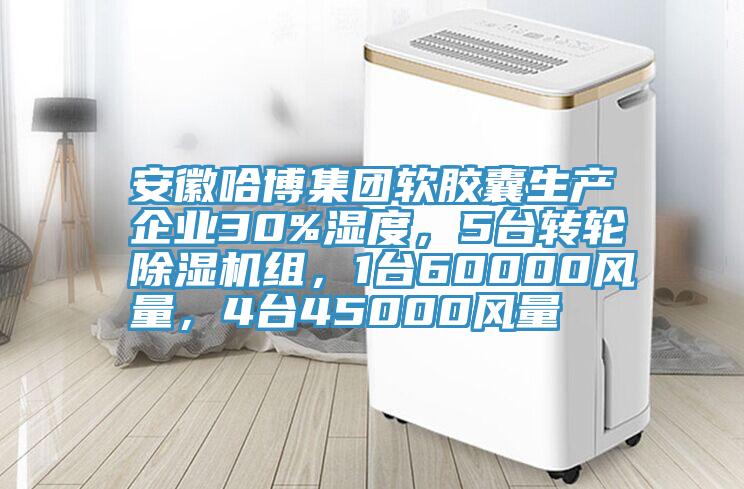 安徽哈博集团软胶囊生产企业30%湿度，5台转轮泡芙短视频APP官方下载地址组，1台60000风量，4台45000风量