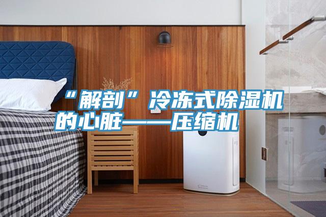 “解剖”冷冻式泡芙短视频APP官方下载地址的心脏——压缩机