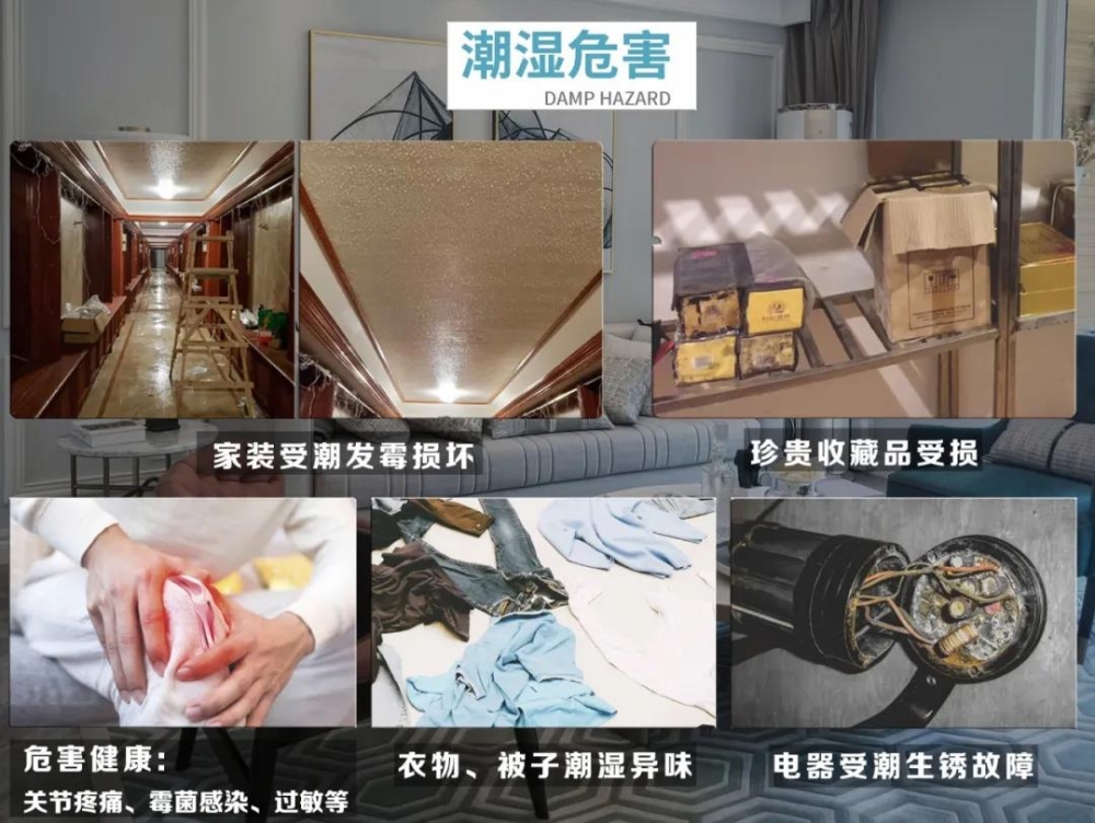 泡芙短视频APP官方下载地址