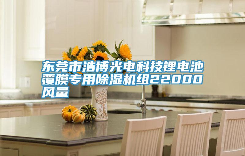 东莞市浩博光电科技锂电池覆膜专用泡芙短视频APP官方下载地址组22000风量