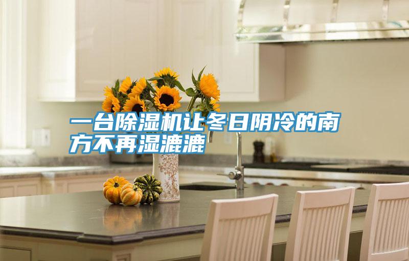 一台泡芙短视频APP官方下载地址让冬日阴冷的南方不再湿漉漉