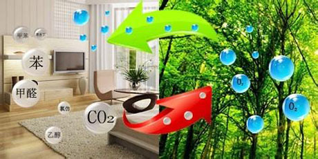 工业泡芙短视频APP官方下载地址厂家