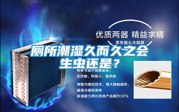 厕所潮湿久而久之会生虫还是？