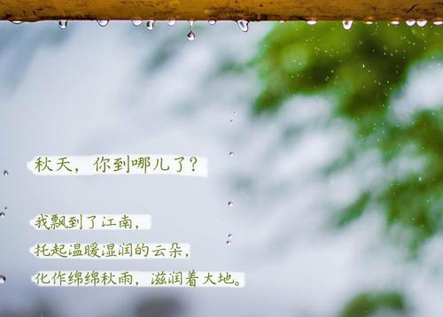 “无晴”阴雨天 “有晴”泡芙短视频APP官方下载地址