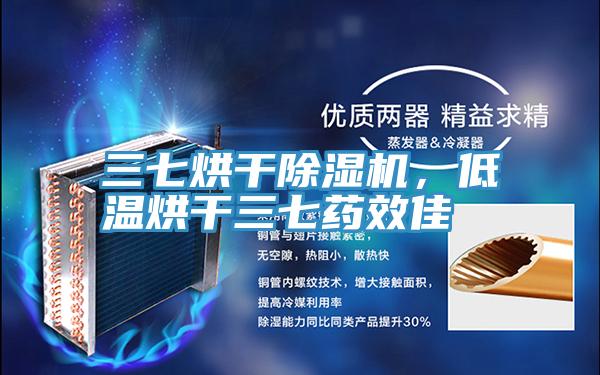 三七烘干泡芙短视频APP官方下载地址，低温烘干三七药效佳