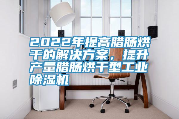 2022年提高腊肠烘干的解决方案，提升产量腊肠烘干型工业泡芙短视频APP官方下载地址