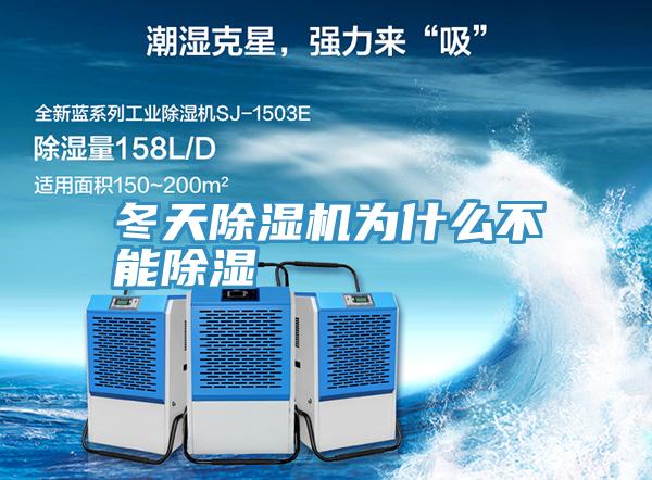 冬天泡芙短视频APP官方下载地址为什么不能除湿