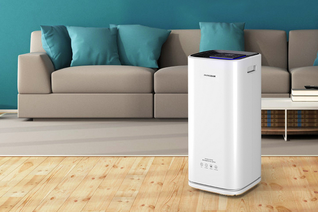 一起和泡芙短视频APP安装把健康空气带回家吧