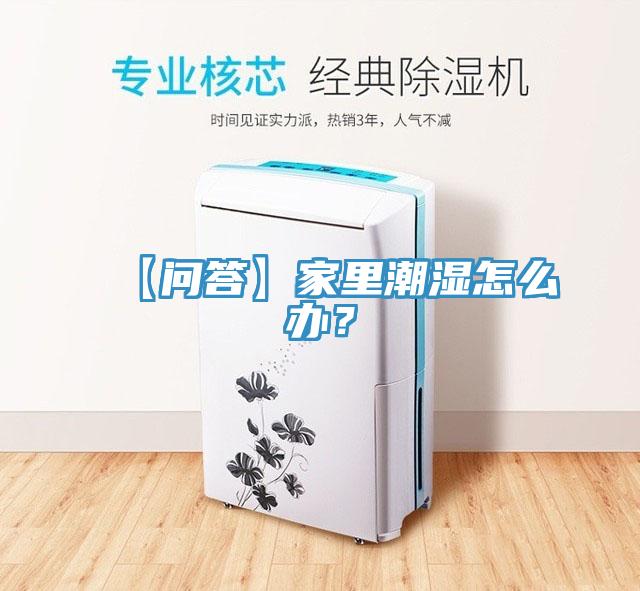 【问答】家里潮湿怎么办？