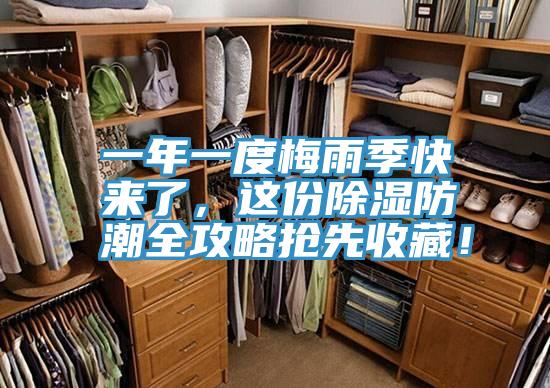 一年一度梅雨季快来了，这份除湿防潮全攻略抢先收藏！