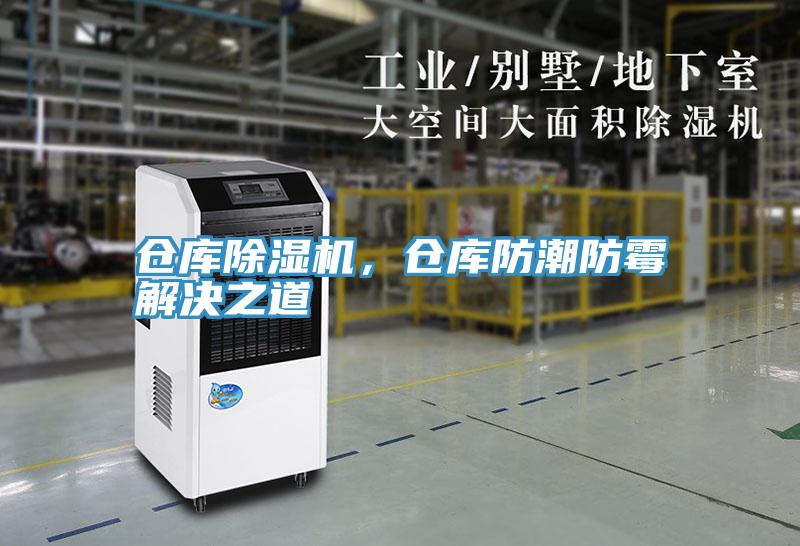 仓库泡芙短视频APP官方下载地址，仓库防潮防霉解决之道