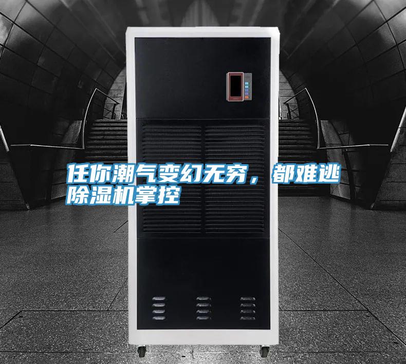 任你潮气变幻无穷，都难逃泡芙短视频APP官方下载地址掌控