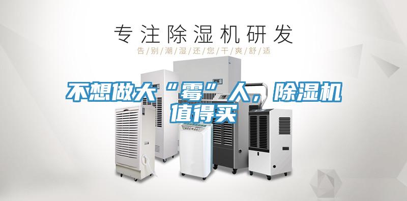 不想做大“霉”人，泡芙短视频APP官方下载地址值得买