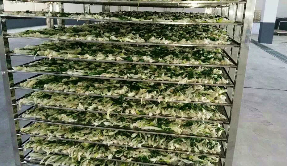 菜干需求一直都很大，蔬菜烘干机很有市场