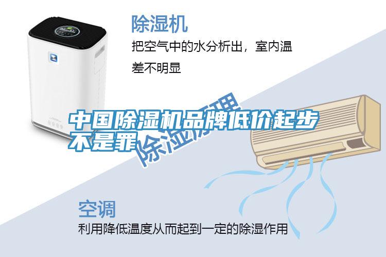 中国泡芙短视频APP官方下载地址品牌低价起步不是罪