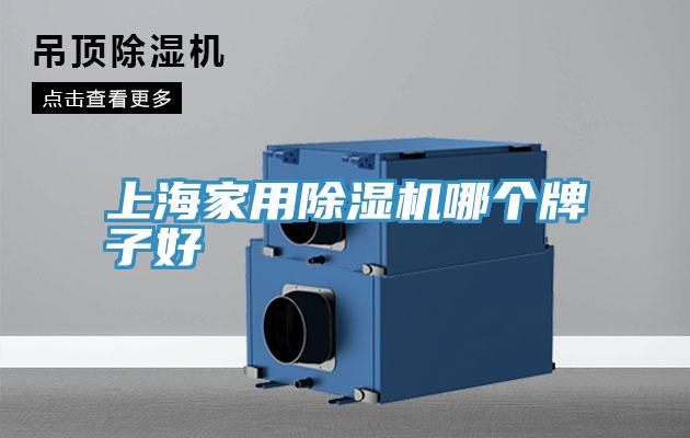 上海家用泡芙短视频APP官方下载地址哪个牌子好