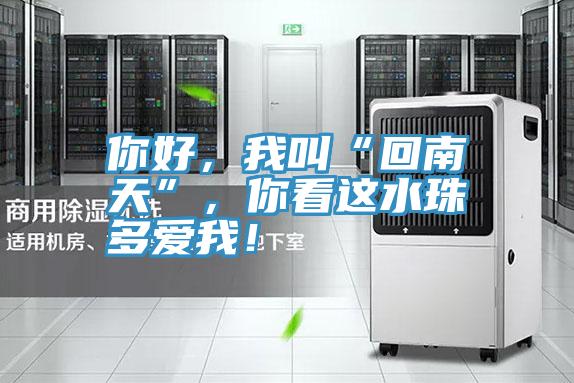 你好，我叫“回南天”，你看这水珠多爱我！
