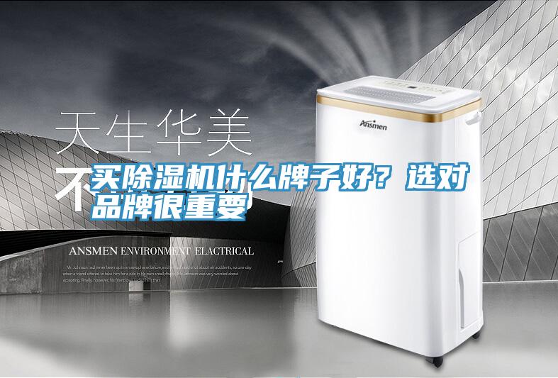 买泡芙短视频APP官方下载地址什么牌子好？选对品牌很重要