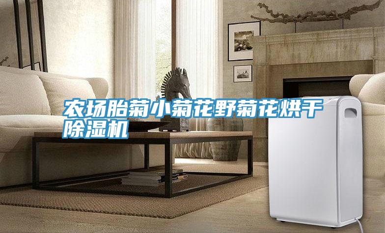 农场胎菊小菊花野菊花烘干泡芙短视频APP官方下载地址