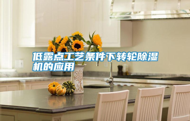 低露点工艺条件下转轮泡芙短视频APP官方下载地址的应用