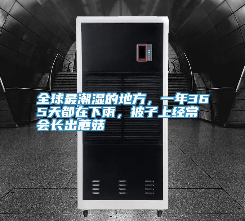 全球最潮湿的地方，一年365天都在下雨，被子上经常会长出蘑菇
