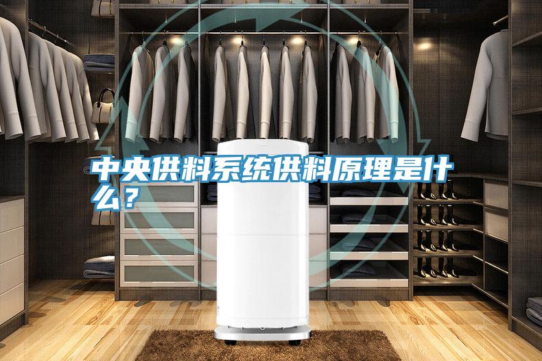 中央供料系统供料原理是什么？