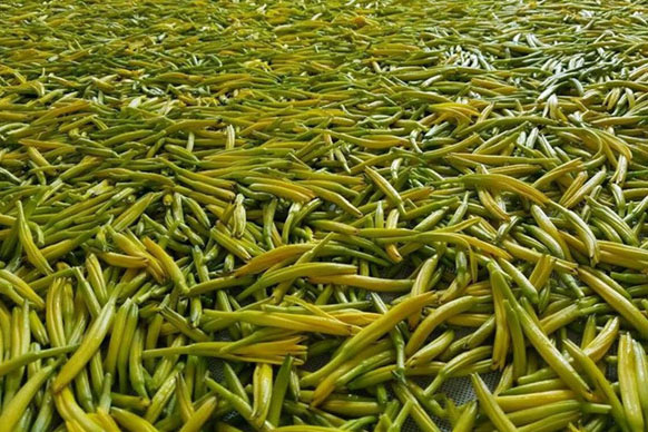 无硫金针菜烘干如何保持品相？不发黑？_泡芙短视频APP官方下载地址厂家