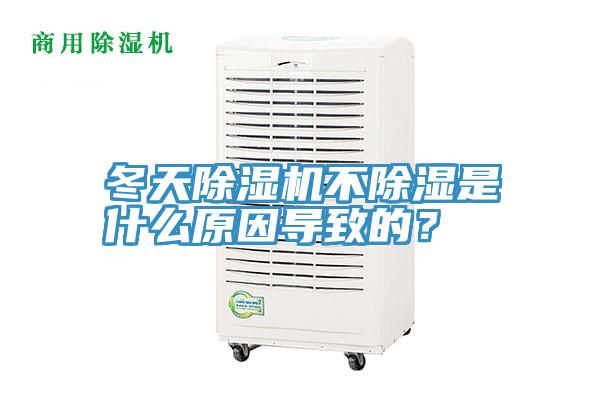 冬天泡芙短视频APP官方下载地址不除湿是什么原因导致的？