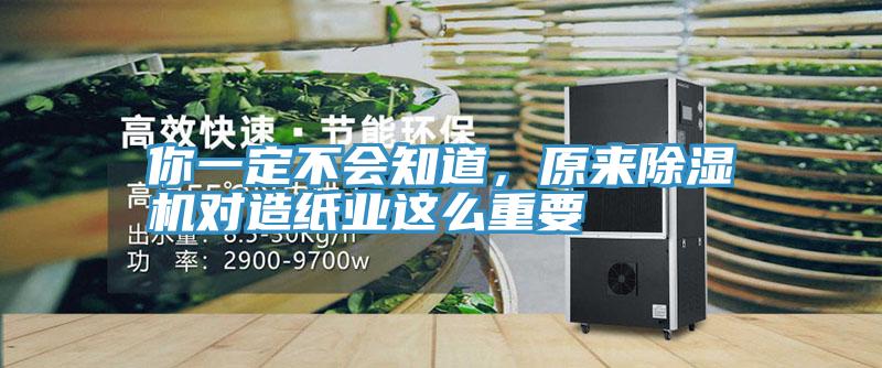 你一定不会知道，原来泡芙短视频APP官方下载地址对造纸业这么重要