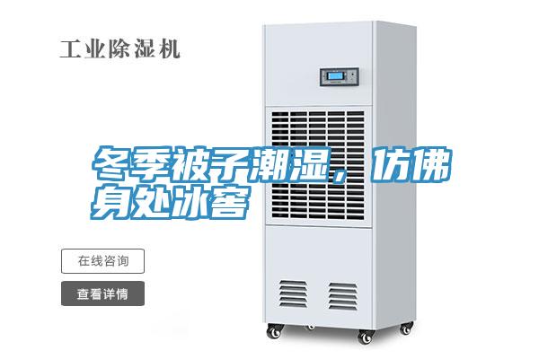 冬季被子潮湿，仿佛身处冰窖