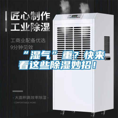 “湿气”重？快来看这些除湿妙招！