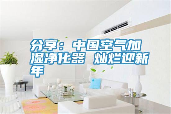 分享：中国空气加湿净化器 灿烂迎新年