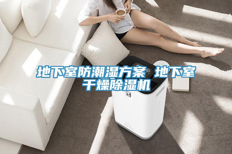 地下室防潮湿方案 地下室干燥泡芙短视频APP官方下载地址