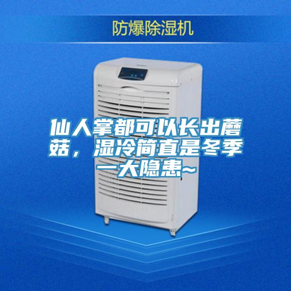 仙人掌都可以长出蘑菇，湿冷简直是冬季一大隐患~