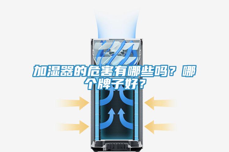 加湿器的危害有哪些吗？哪个牌子好？