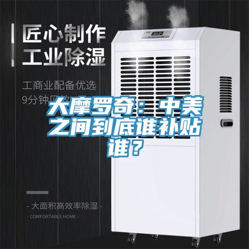 大摩罗奇：中美之间到底谁补贴谁？