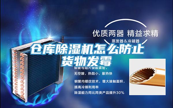 仓库泡芙短视频APP官方下载地址怎么防止货物发霉