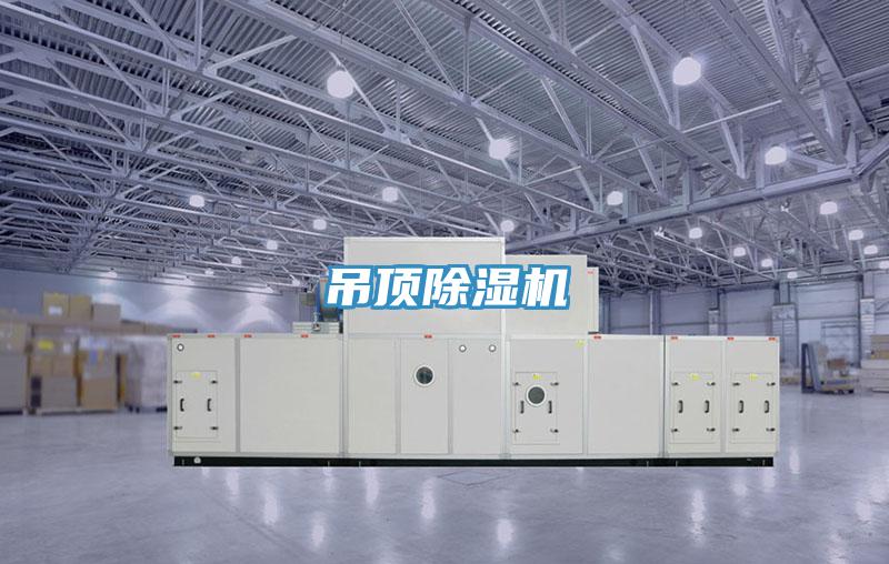 吊顶泡芙短视频APP官方下载地址