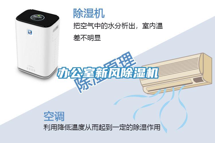 办公室新风泡芙短视频APP官方下载地址