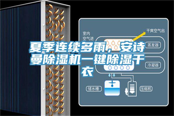 夏季连续多雨，泡芙短视频APP安装泡芙短视频APP官方下载地址一键除湿干衣