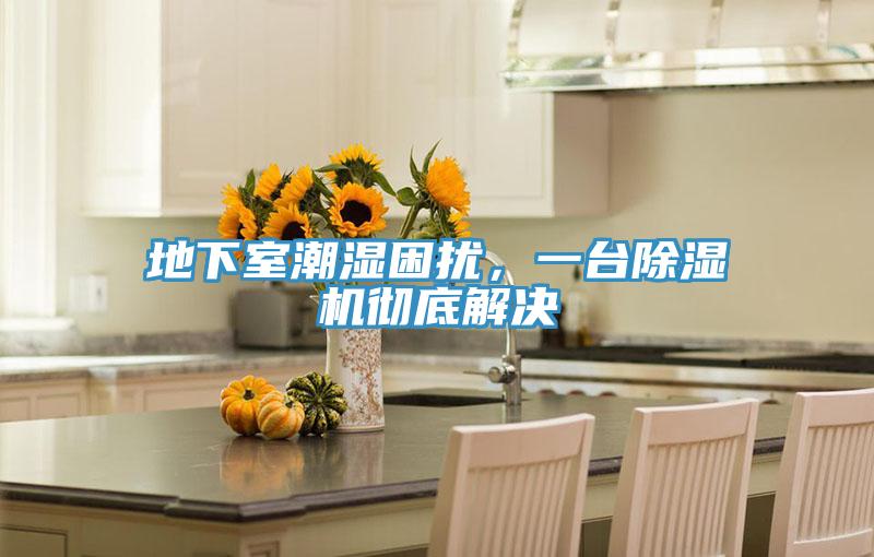 地下室潮湿困扰，一台泡芙短视频APP官方下载地址彻底解决