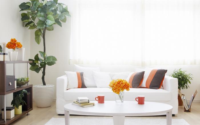 及早备好泡芙短视频APP官方下载地址，不惧潮湿天来袭